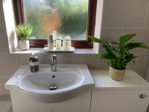 南米尔福德Self Contained Guest Suite的浴室水槽,带窗户和盆栽植物