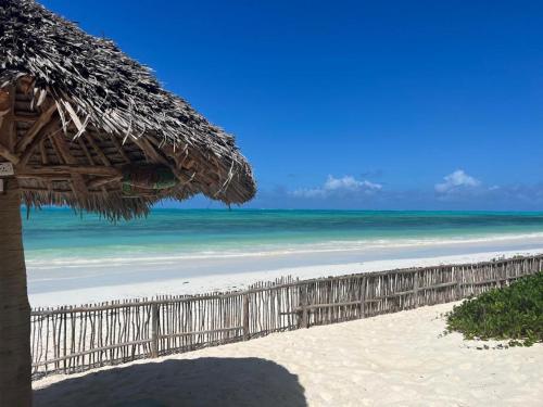 江比阿Stonefish Inn Jambiani的一个带草伞的海滩和大海