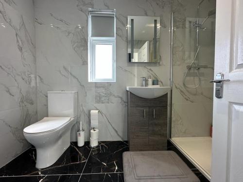 都柏林Modern design residence的浴室配有卫生间、盥洗盆和淋浴。