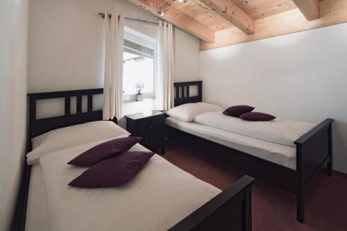 豪斯地区圣雅各布Ferienhaus Kapeller的两张床位于带窗户的房间内