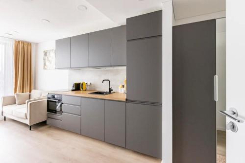 维尔纽斯Ozo eco apartments的厨房配有灰色橱柜和沙发