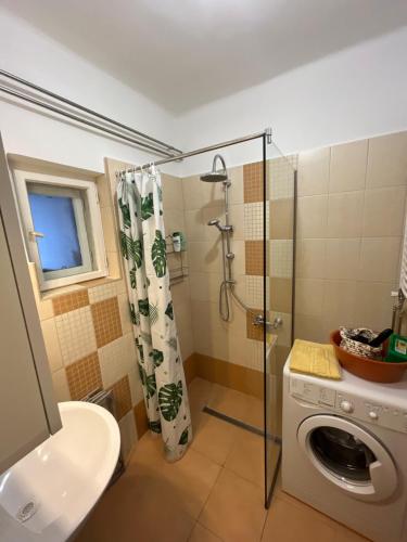 松博特海伊Orsi House的带淋浴和洗衣机的浴室