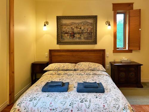 Wentworth-NordBed & Breakfast Lukomorye的一间卧室配有一张带两个蓝色枕头的床