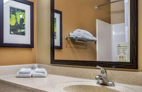 兰辛Sonesta Simply Suites Lansing的浴室配有带镜子的盥洗盆和毛巾