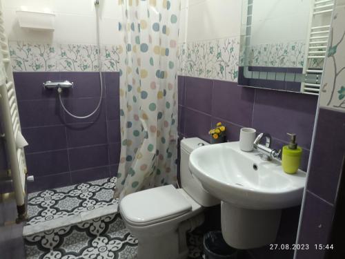 莫纳斯提尔Fufa Apartment的一间带卫生间和水槽的浴室