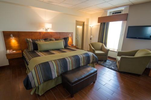 萨格奈峡湾酒店的一间酒店客房,配有一张床和一台电视