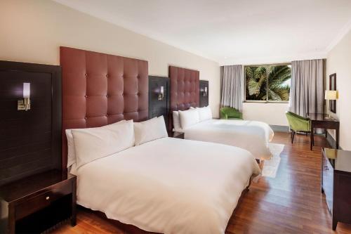 卢萨卡卢萨卡普罗蒂亚酒店的酒店客房设有两张床和大窗户。