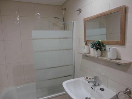 维戈La Ruta de las luces de Vigo的浴室配有盥洗盆和带镜子的淋浴