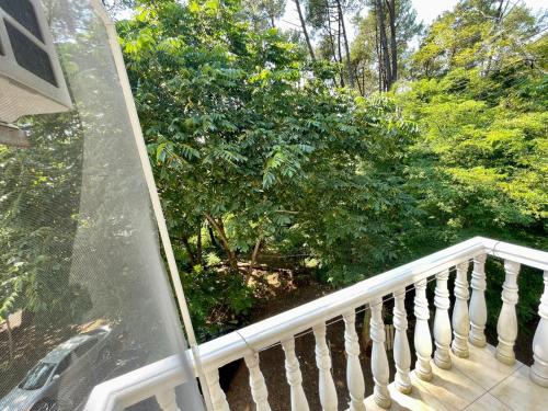 谢赫维蒂利Mai Shekvetili的阳台享有树林美景。