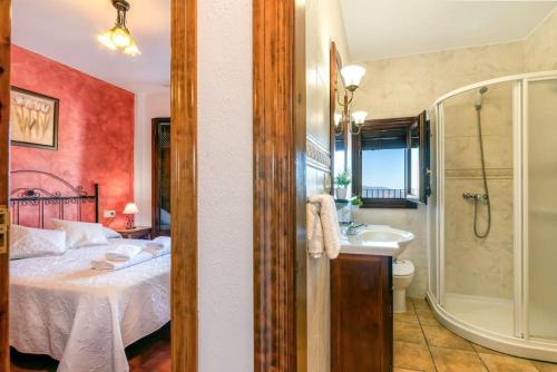 卡皮雷拉Casa Jose Capileira - Alpujarra的一间卧室配有一张床,浴室设有淋浴。