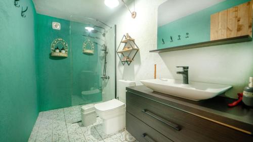 费特希耶Cozy Oasis with Lovely Backyard in Fethiye的一间带水槽、淋浴和卫生间的浴室