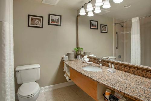 盖瑟斯堡Comfort Inn Shady Grove - Gaithersburg - Rockville的一间带卫生间、水槽和镜子的浴室