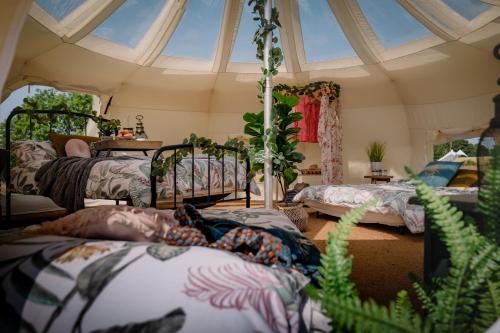 FinchingfieldFinchingfield Lavender的带四张床的客房和窗户的天花板