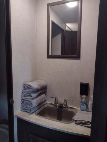 布兰森Branson RV Park的浴室配有盥洗盆、镜子和毛巾