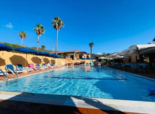 费拉约港阿里泰公寓的一个带椅子和棕榈树的大型游泳池
