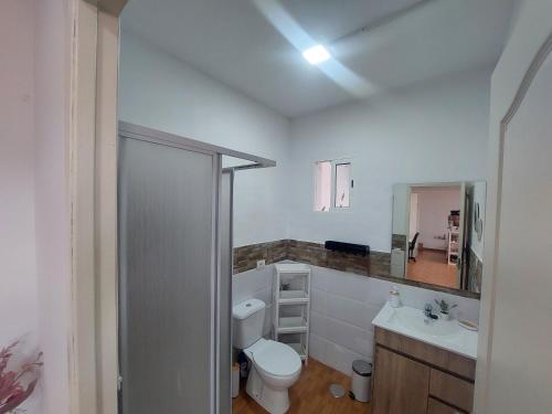 阿里亚Casa Lito B的一间带卫生间、水槽和镜子的浴室