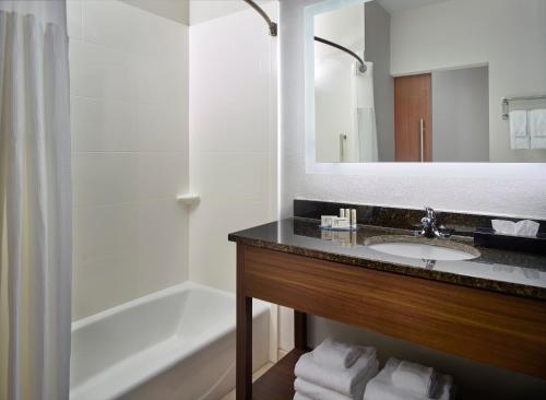 弗莱彻Fairfield Inn & Suites by Marriott Asheville Airport/Fletcher的一间带水槽、浴缸和镜子的浴室