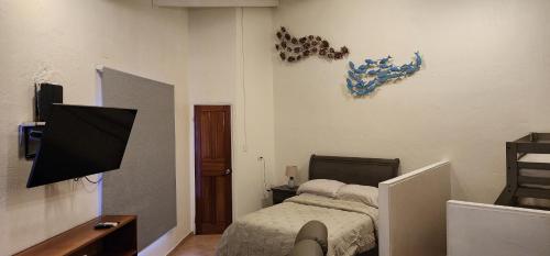 雅科Casa Yorba的一间卧室配有一张床,墙上配有电视