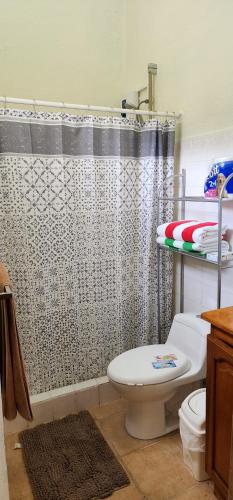 雅科Casa Yorba的带淋浴帘和卫生间的浴室
