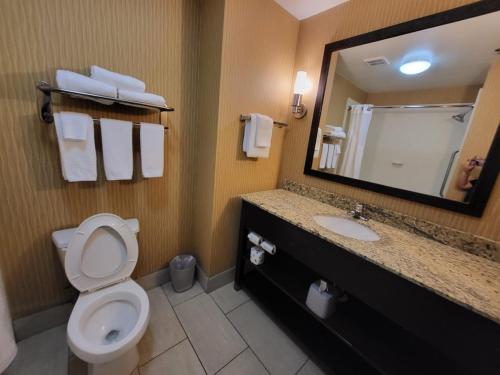 史密斯菲尔德Holiday Inn Express & Suites - Smithfield/Selma, an IHG Hotel的一间带卫生间、水槽和镜子的浴室