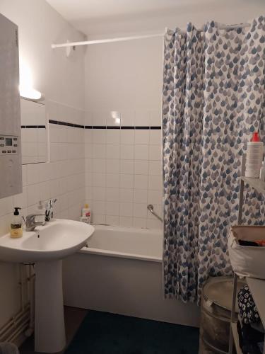 里尔Charmant appartement T2 parc JB Lebas的浴室配有盥洗盆和浴缸。