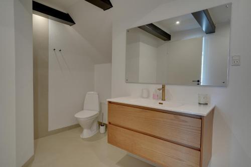 宝可波9 Rooms Amazing Sommerhouse的一间带水槽和卫生间的浴室