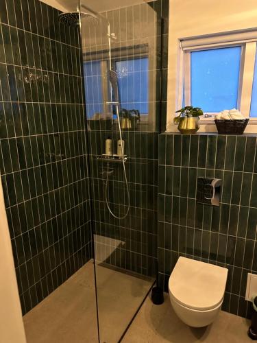 哈纳弗约德尔Sudurgata的绿色瓷砖浴室设有卫生间和淋浴。