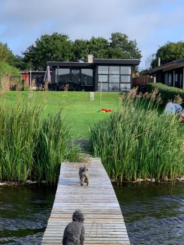 SundsHuset ved søen tæt på Herning og MCH og boxen 90 m2的坐在房子旁边的码头上的狗