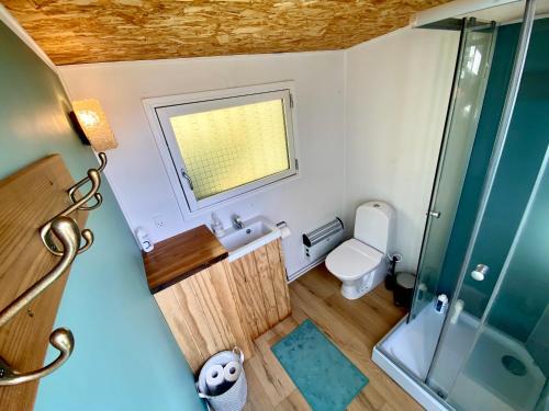 SkibbyCozy Tiny House on a farm的一间带卫生间和淋浴的小浴室