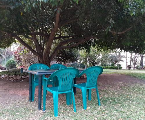 NyambadweSonke Ball House(Nyumba Yangati Mpira)的树前带四把椅子的野餐桌