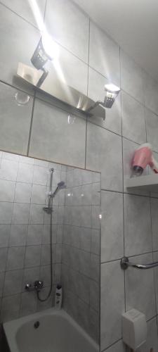 萨拉热窝Apartman Safir的带淋浴和浴缸及淋浴的浴室