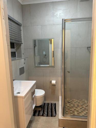 曼齐尼Canal View Estate & Resort的带淋浴、卫生间和盥洗盆的浴室