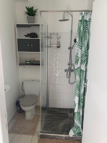 卡宴Le nid du Kikiwi , refuge relaxant avec jardin的一间带卫生间和玻璃淋浴间的浴室