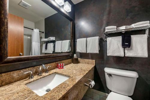 布法罗SureStay Plus Hotel by Best Western Buffalo的一间带水槽、卫生间和镜子的浴室