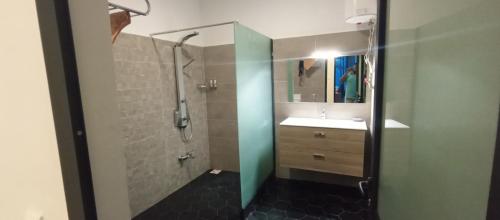 马哈赞加Villa sakinu的带淋浴、盥洗盆和镜子的浴室
