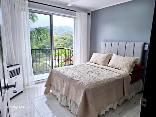 圣伊西德罗Casa Victoria Hostel的一间卧室设有一张床和一个大窗户
