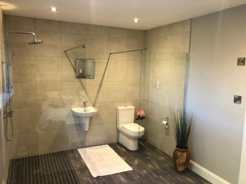 ClegganBruíon Connemara的浴室配有卫生间、盥洗盆和淋浴。