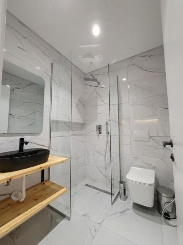 吉诺卡斯特Jani Studio Apartments的带淋浴、盥洗盆和卫生间的浴室