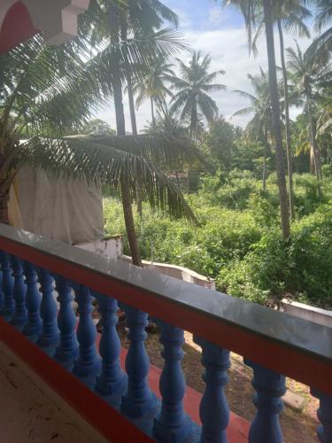 卡纳科纳INAS Guest House的阳台的背景是棕榈树