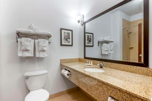 拉皮德城Comfort Suites Conference Center Rapid City的一间带水槽、卫生间和镜子的浴室