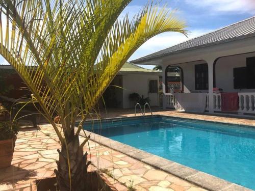 Rémire-Camples hauts de Remire Chambre studio indépendant calme avec piscine的一座房子旁的游泳池,里面种着棕榈树