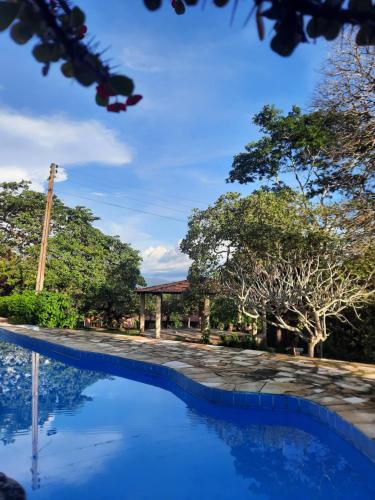 MaranguapeSítio Vale da Serra的享有带树木的游泳池的景色