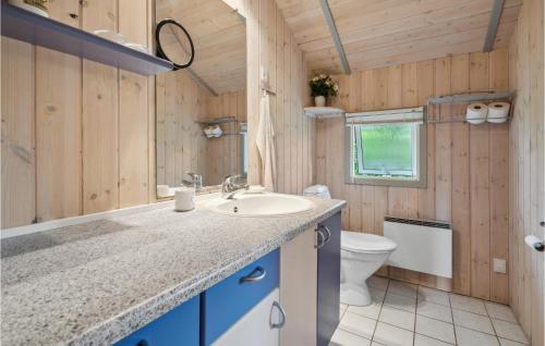 哈泽斯莱乌Awesome Home In Haderslev With Kitchen的一间带水槽和卫生间的浴室