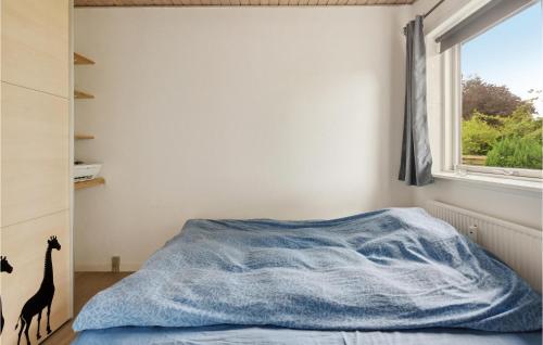 米泽尔法特Beautiful Apartment In Middelfart With Kitchen的一间卧室配有一张带蓝色毯子的床