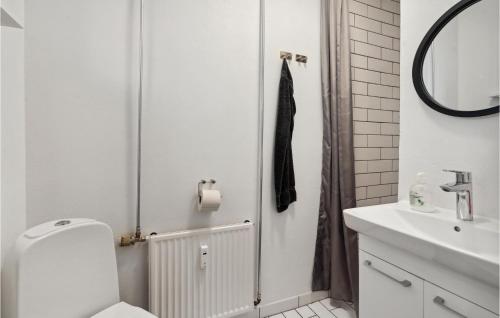 米泽尔法特Beautiful Apartment In Middelfart With Kitchen的白色的浴室设有卫生间和水槽。