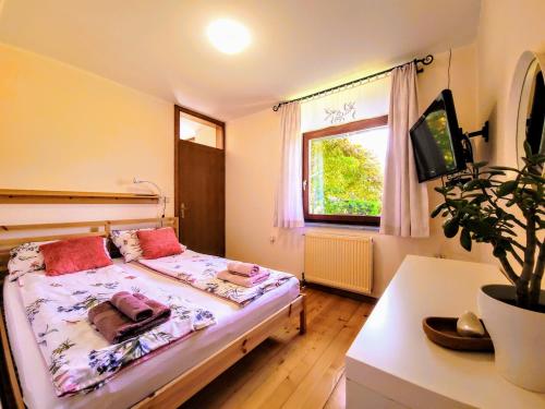 Bistrica ob SotliApartma Stanka的一间卧室设有一张床、一台电视和一个窗口。
