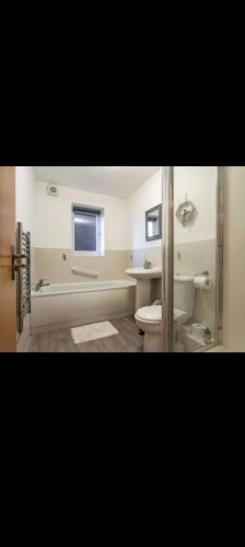 卡斯尔福德Glasshoughton Platinum的浴室配有卫生间、盥洗盆和浴缸。