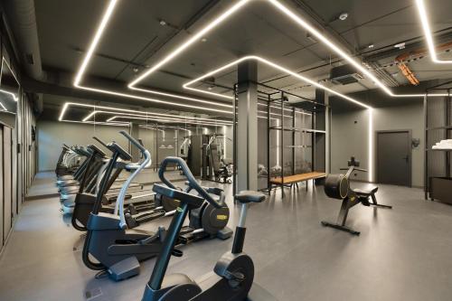 维也纳维也纳波塞奥地利时尚酒店的健身房设有数台跑步机和有氧运动器材