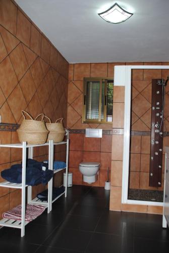 隆达Casa La Pechá, Ronda (Málaga)的浴室配有卫生间和水槽。