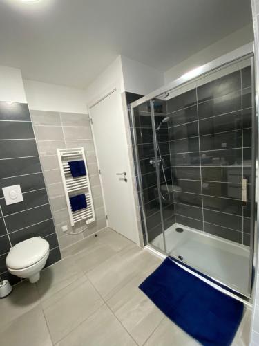 波尔蒂乔Stella mare à porticcio的带淋浴和卫生间的浴室以及蓝色地毯。